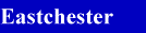 Description: Eastchester Government Access